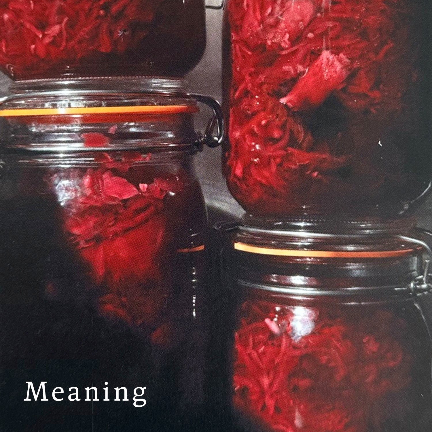 Jars of fermenting red vegetables on a dark background with the word 'Meaning' overlaid.