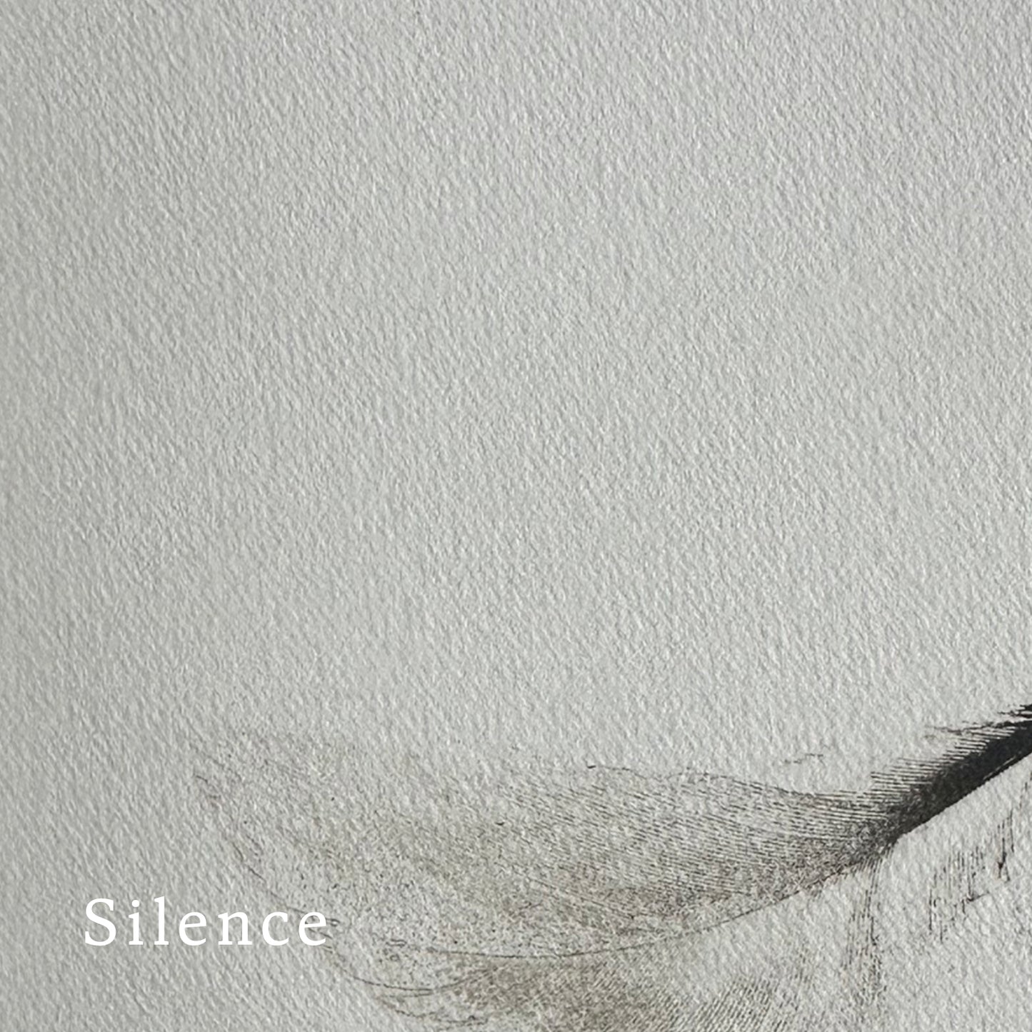 Text 'Silence' on a textured quality paper with a partially visible part of a feather in the bottom section